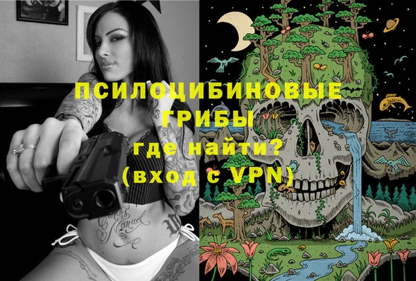 тгк Михайлов