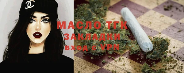 тгк Михайлов