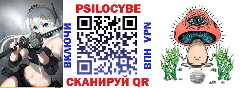 как найти наркотики  Химки  Псилоцибиновые грибы Magic Shrooms 
